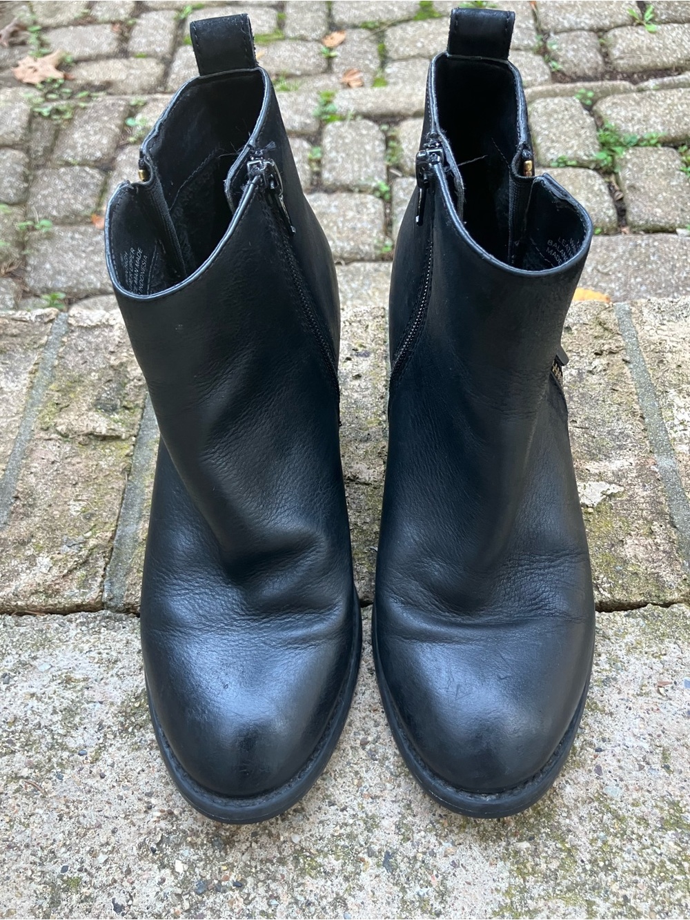 Steve Madden Black Leather Side-Zip Ankle Booties